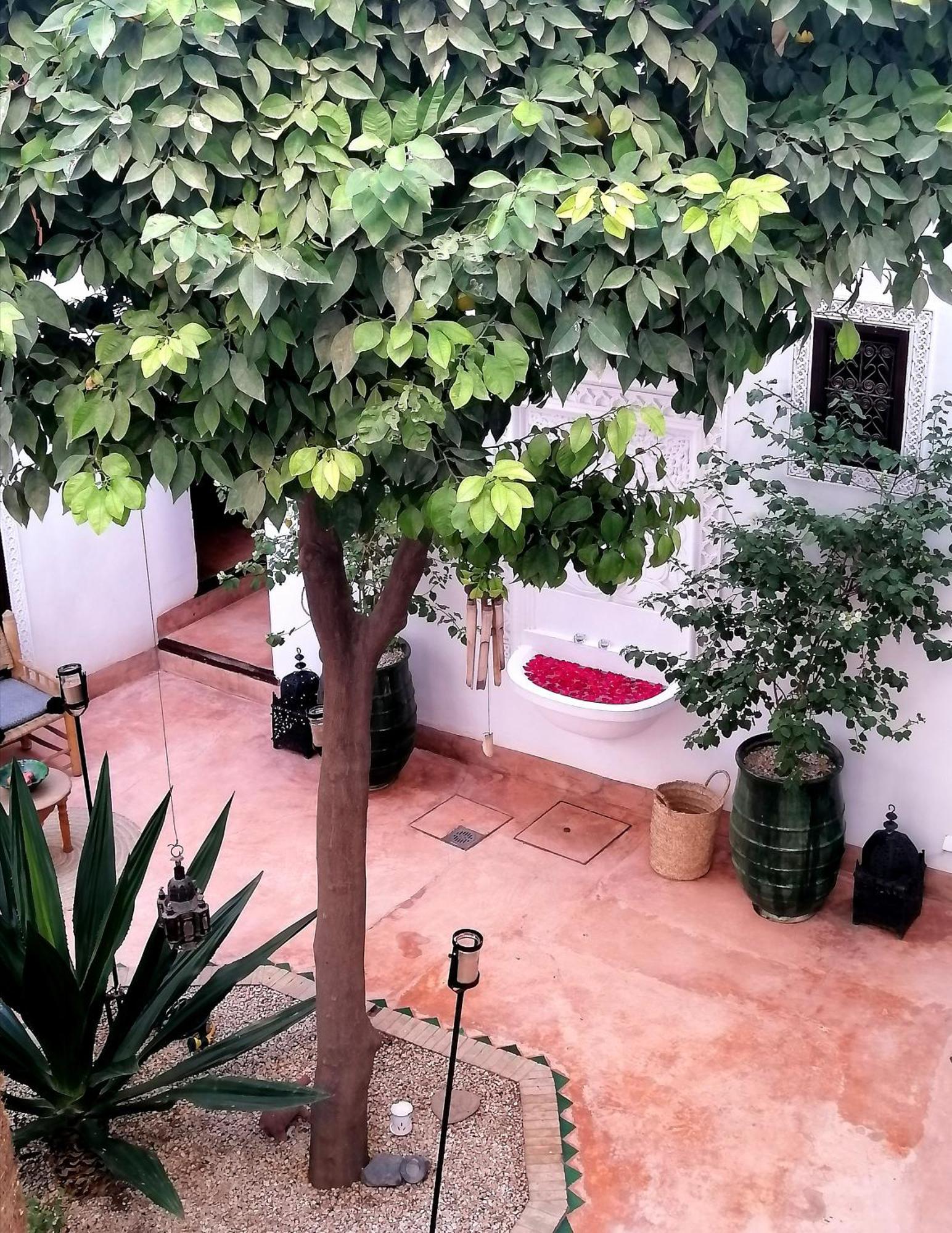 Riad Dar Nouba Hotel Marrakesh Exterior photo