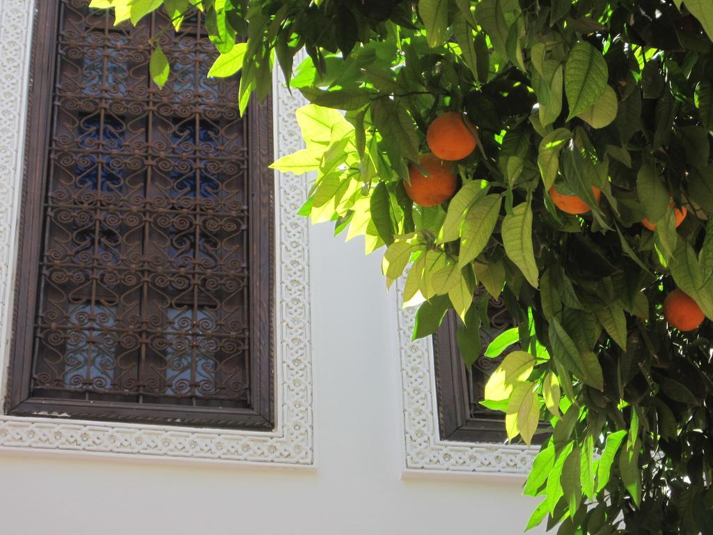 Riad Dar Nouba Hotel Marrakesh Exterior photo