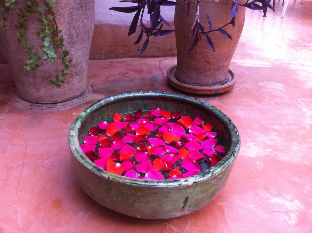 Riad Dar Nouba Hotel Marrakesh Exterior photo